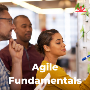 Agile Fundamentals Team